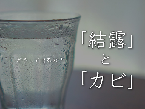 「結露」と「カビ」